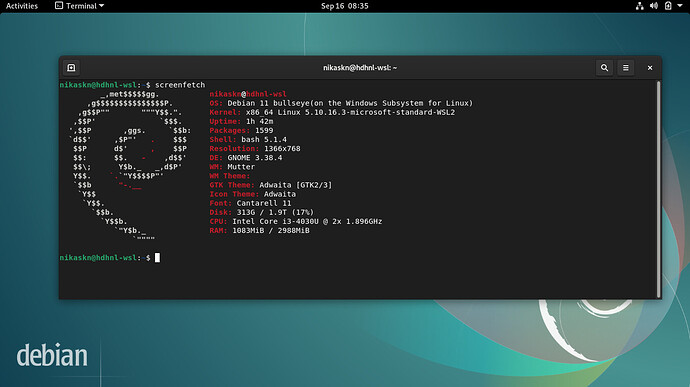 DebianWsl2GnomeTerminal-Screenshot from 2021-09-16 08-35-54