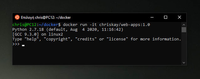 Docker run command on interactive mode